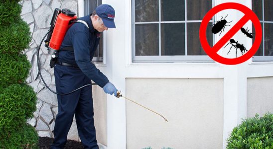 Gölbaşı Fare İlaçlama böcek ilaçlama ve haşere kontrolü — ilaclama-tr.com